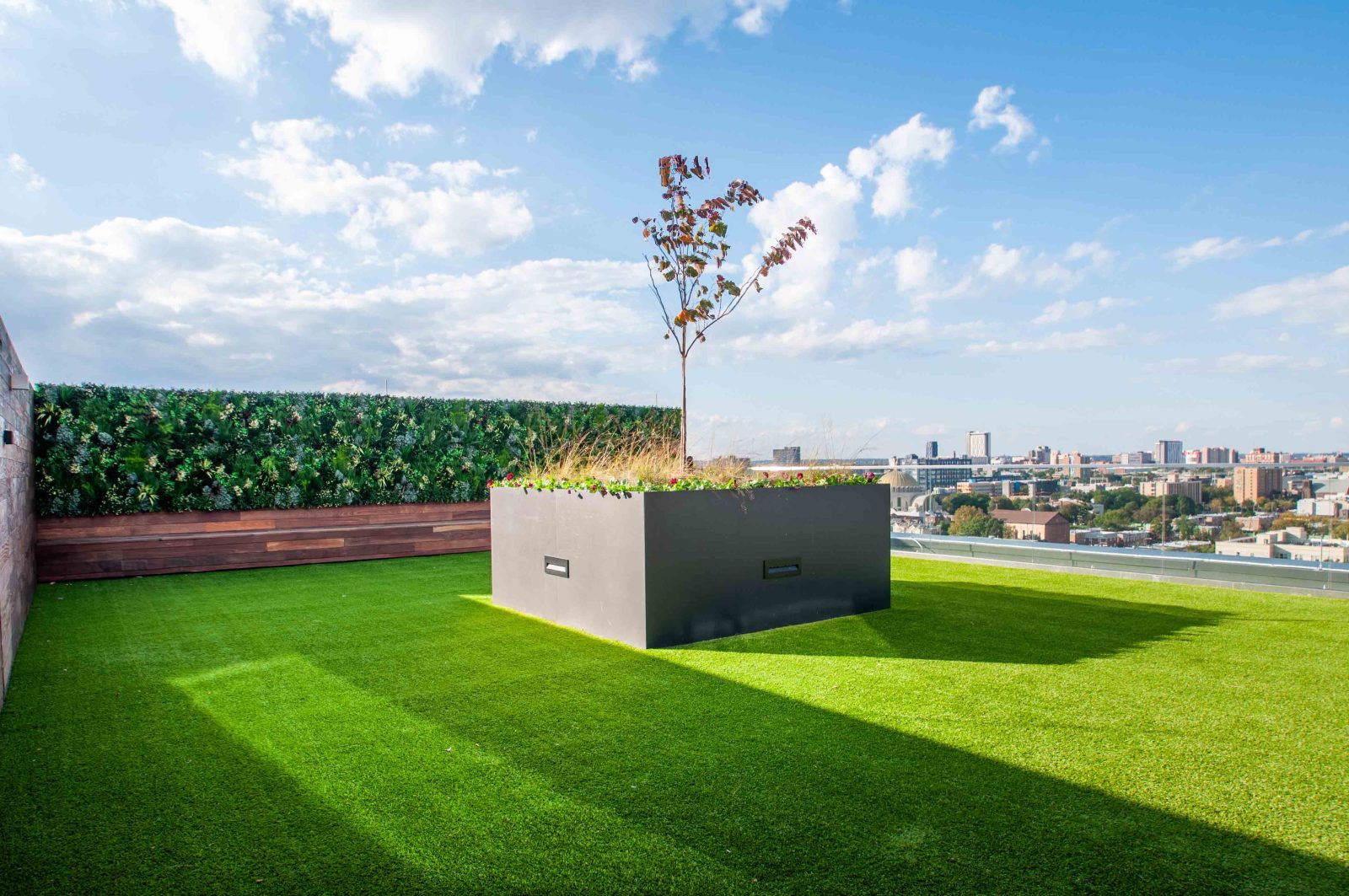 Rooftop greenery